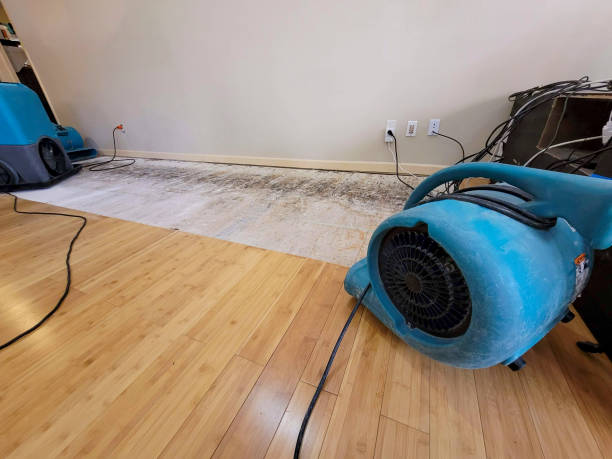Professional Water Damage Repair technician working in Sheldon, IL